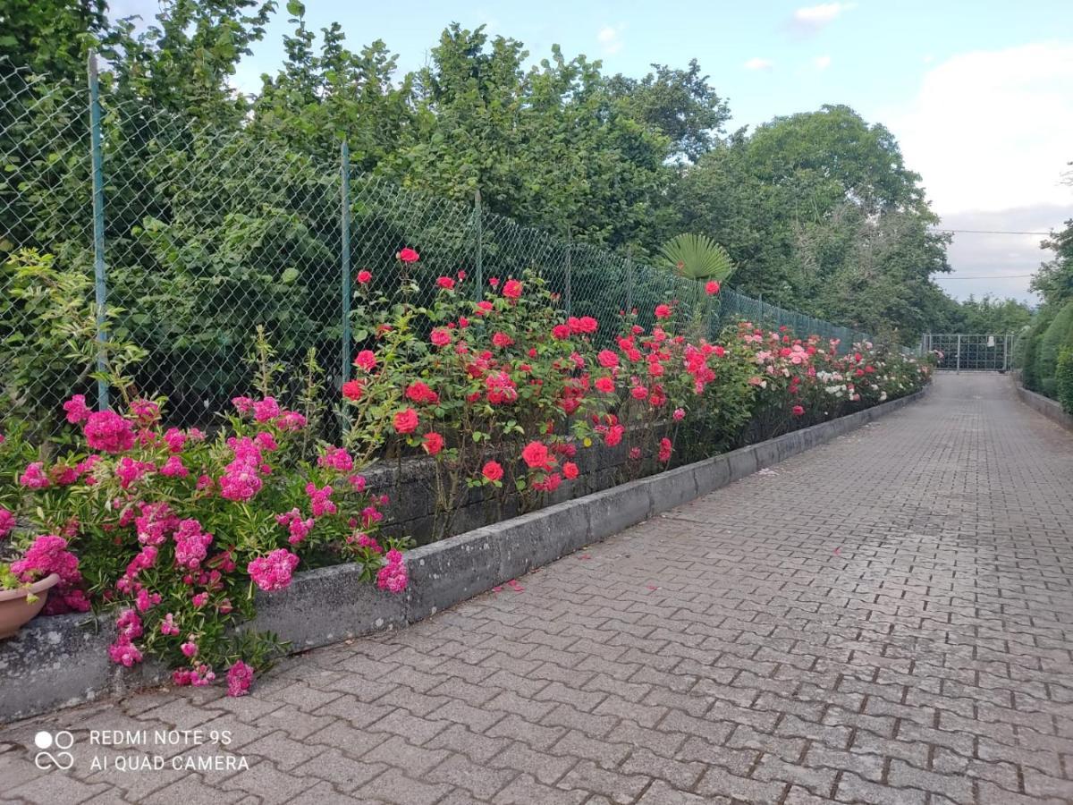 B&B Santa Maria Forino Экстерьер фото